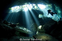 Diver in cenote by Javier Sandoval 